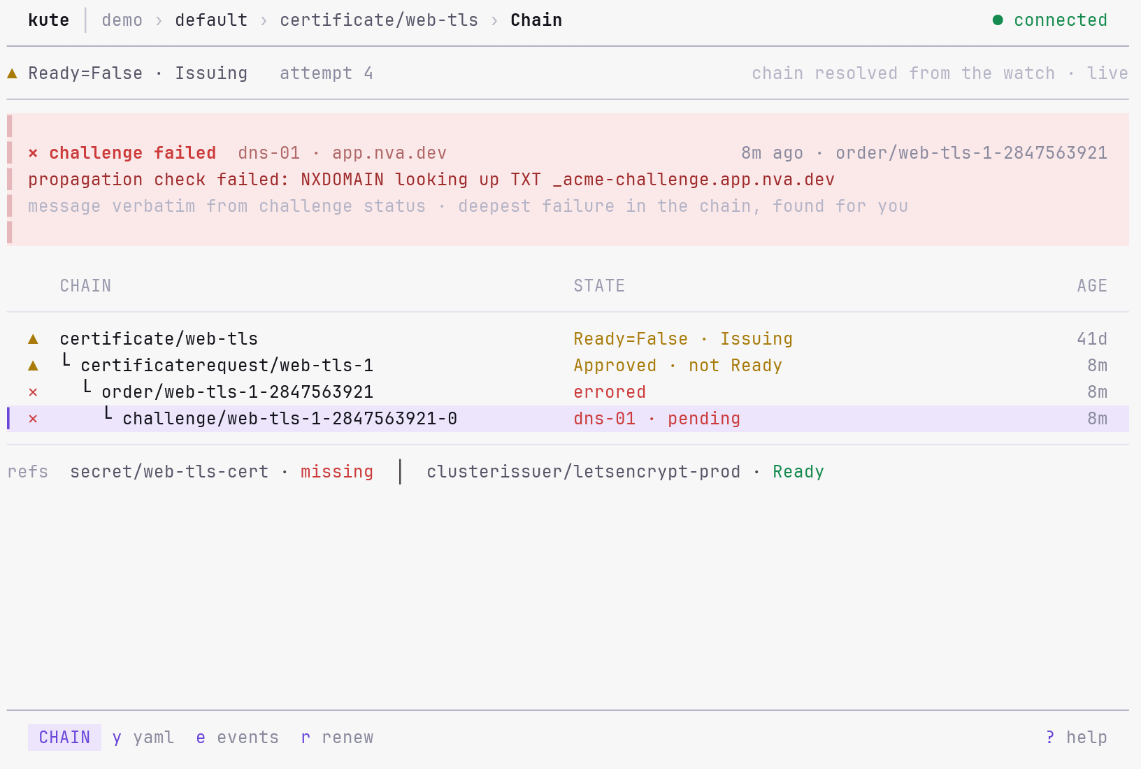 kute certificate issuance chain in the light theme ending in a DNS-01 failure