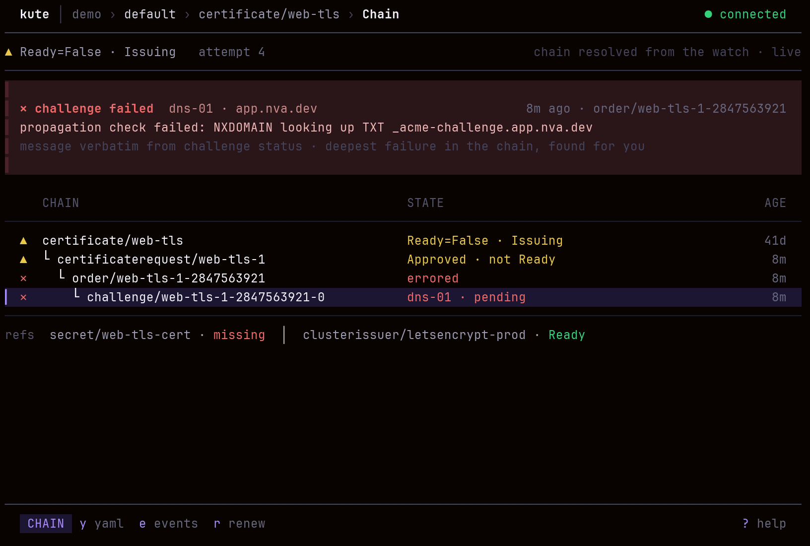 kute certificate issuance chain ending in a DNS-01 failure